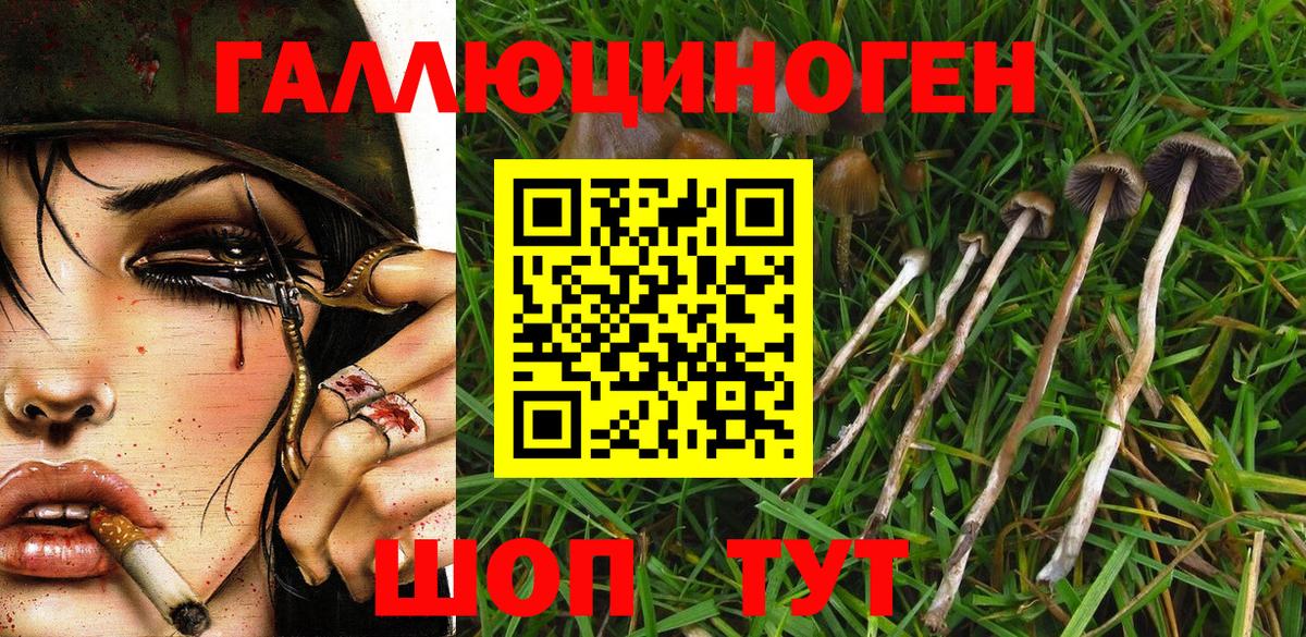 Псилоцибиновые грибы GOLDEN TEACHER  Вход с VPN  Галлюциногенные грибы ЛСД  Среднеуральск 