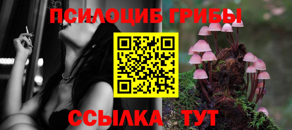Галлюциногенные грибы мицелий Среднеуральск